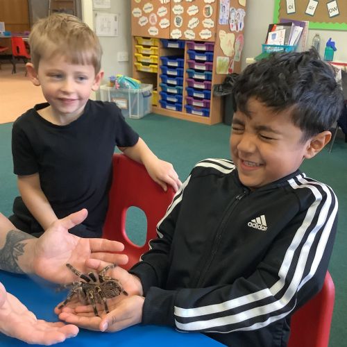 Our Visit from Jungle Jo