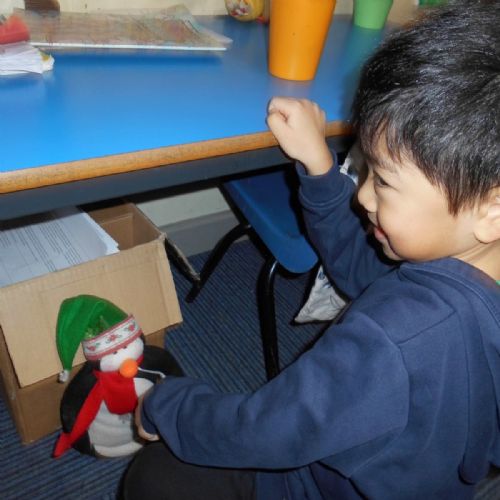 Urgent! Missing Penguin!