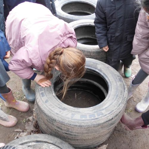 Science Week! Which habitats do worms prefer?
