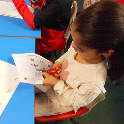 Science -Food Chains