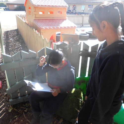 Geography - Rainforest Animal Quiz